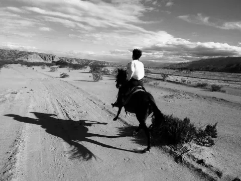 Nathalie Varlet pendant ses voyages, à vélo, à cheval ou à pied